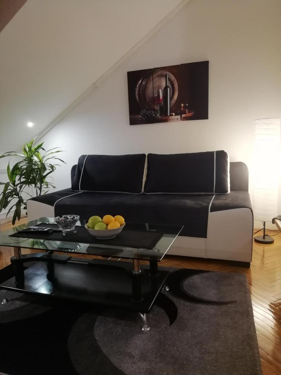 Two Kings Apartment ノヴィ・サド エクステリア 写真