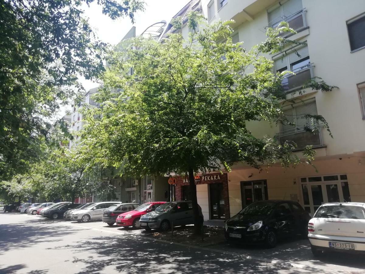 Two Kings Apartment ノヴィ・サド エクステリア 写真