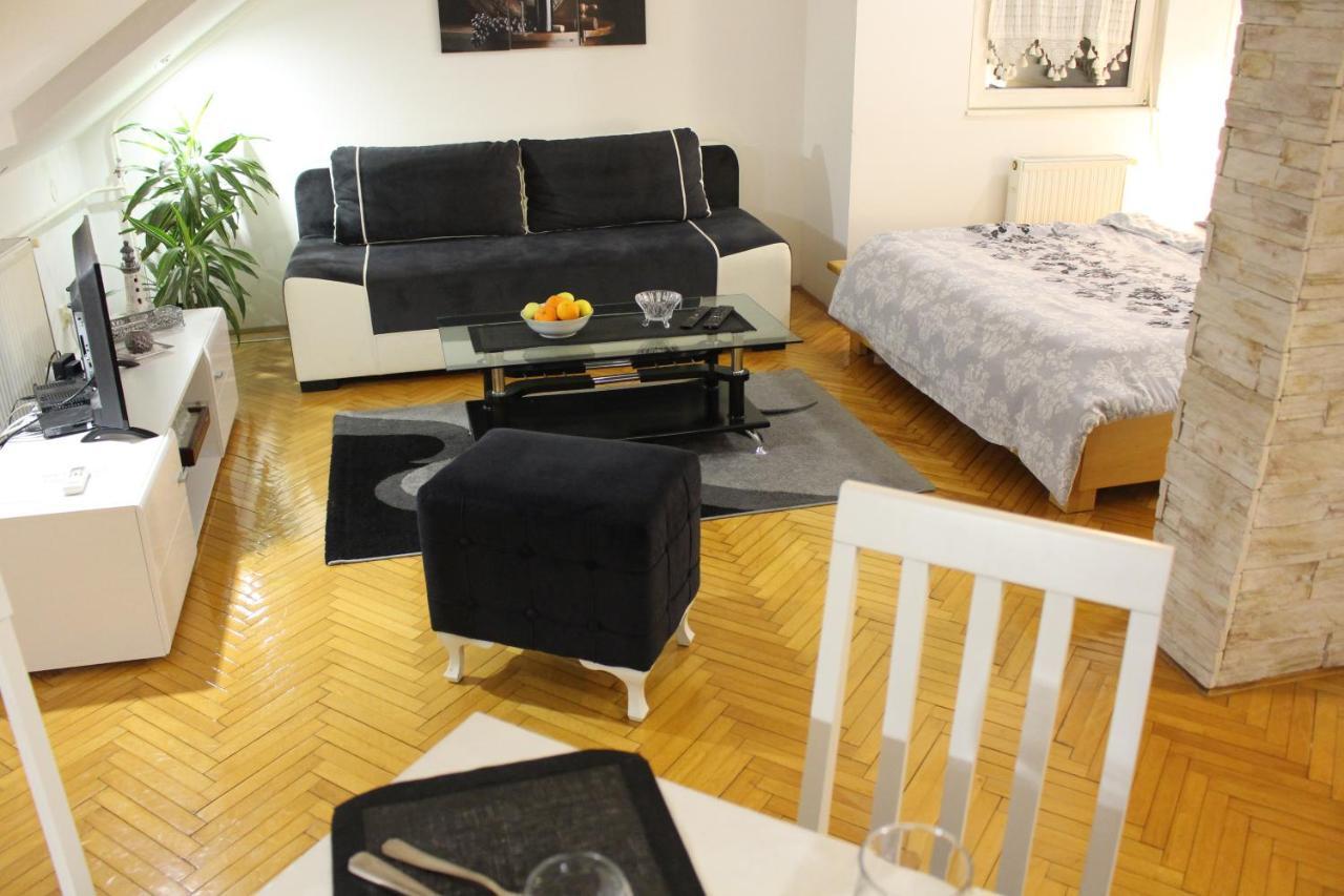Two Kings Apartment ノヴィ・サド エクステリア 写真